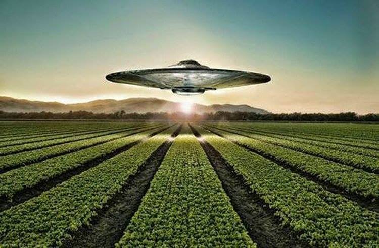 「crop circles UFO」的圖片搜尋結果