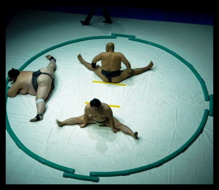 Sumo Wrestlers