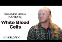 Stress is a killer – so stop stressing & stop the Virus!